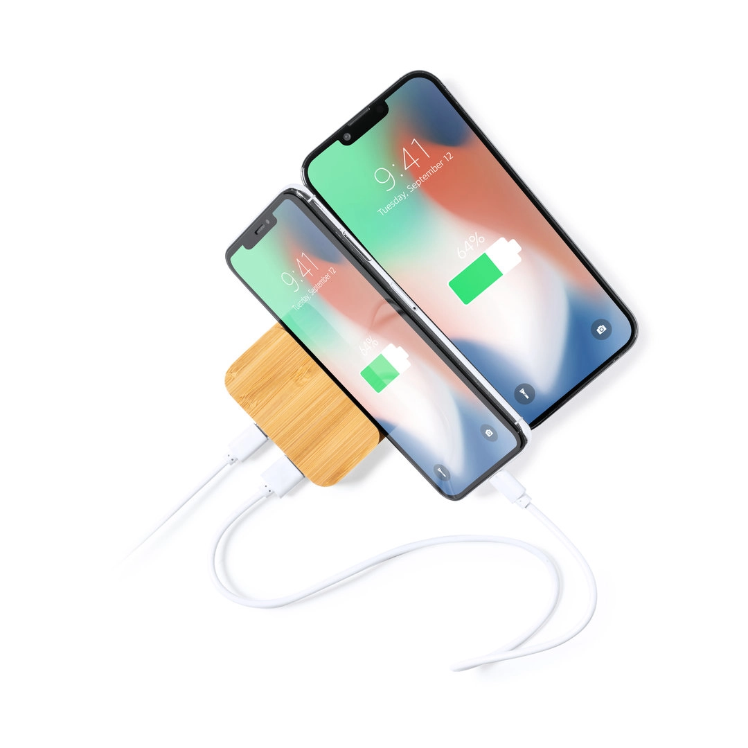 Immagine Power Bank Dralia