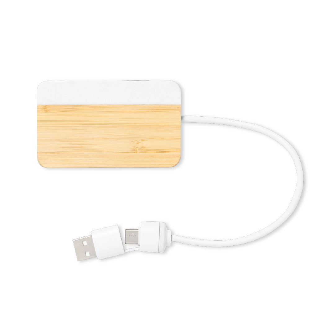 Immagine Porta USB Layais