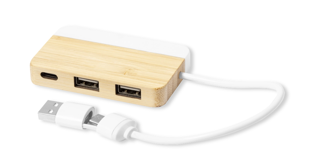 Immagine Porta USB Layais