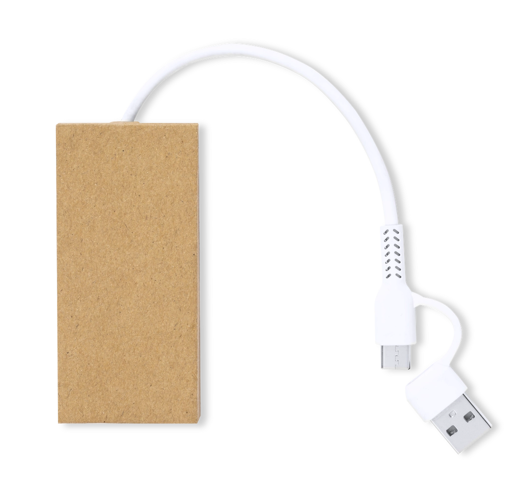 Immagine Porta USB Hasgar