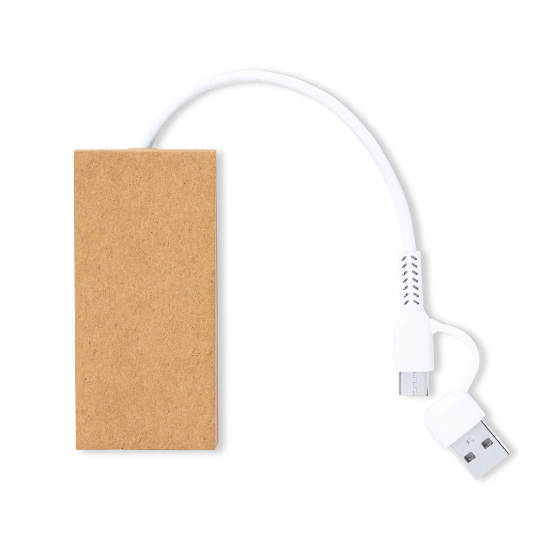 Immagine Porta USB Hasgar