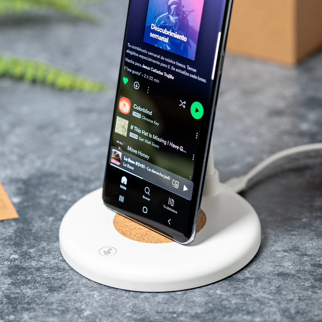 Immagine Lampada Multifunzione Borstein