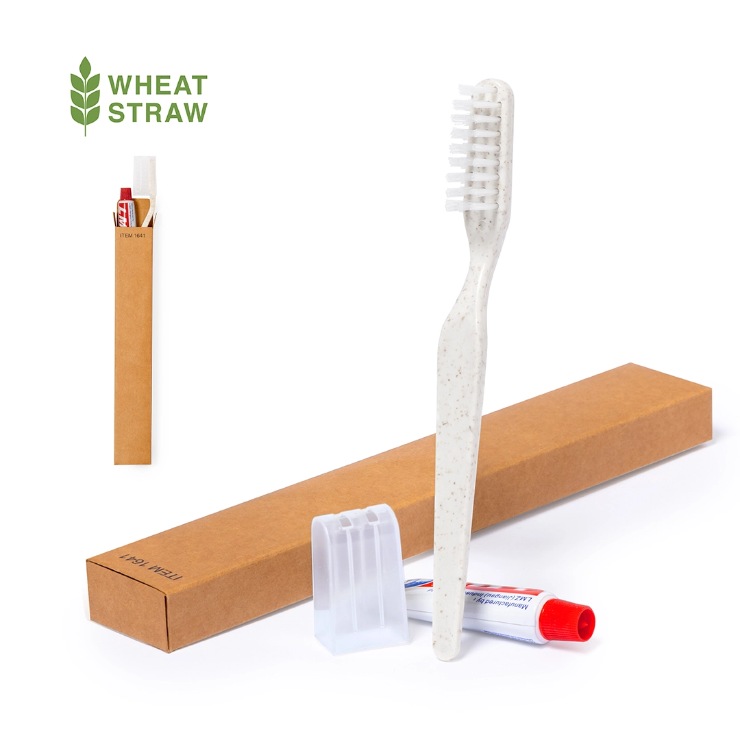 Immagine Set Dental Kit