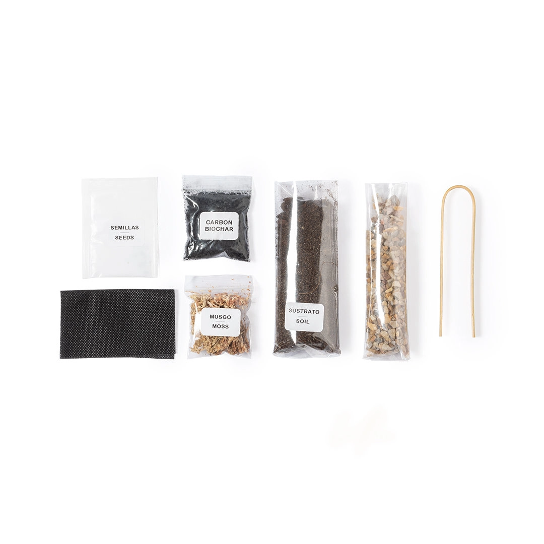 Immagine Terrarium Anymak