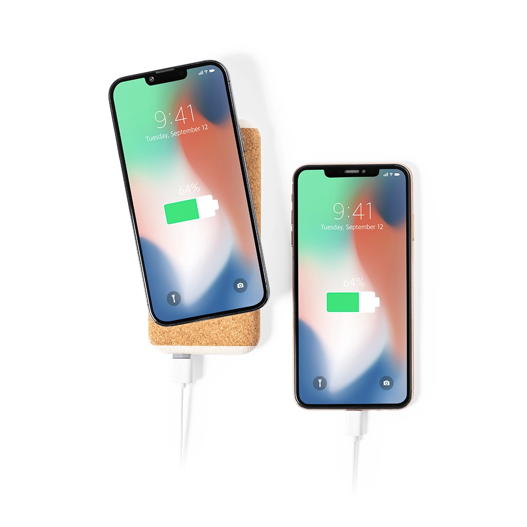 Immagine Power Bank Limerick