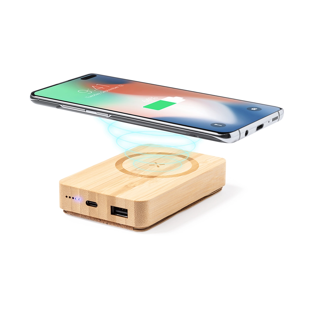 Immagine Power Bank Dobson