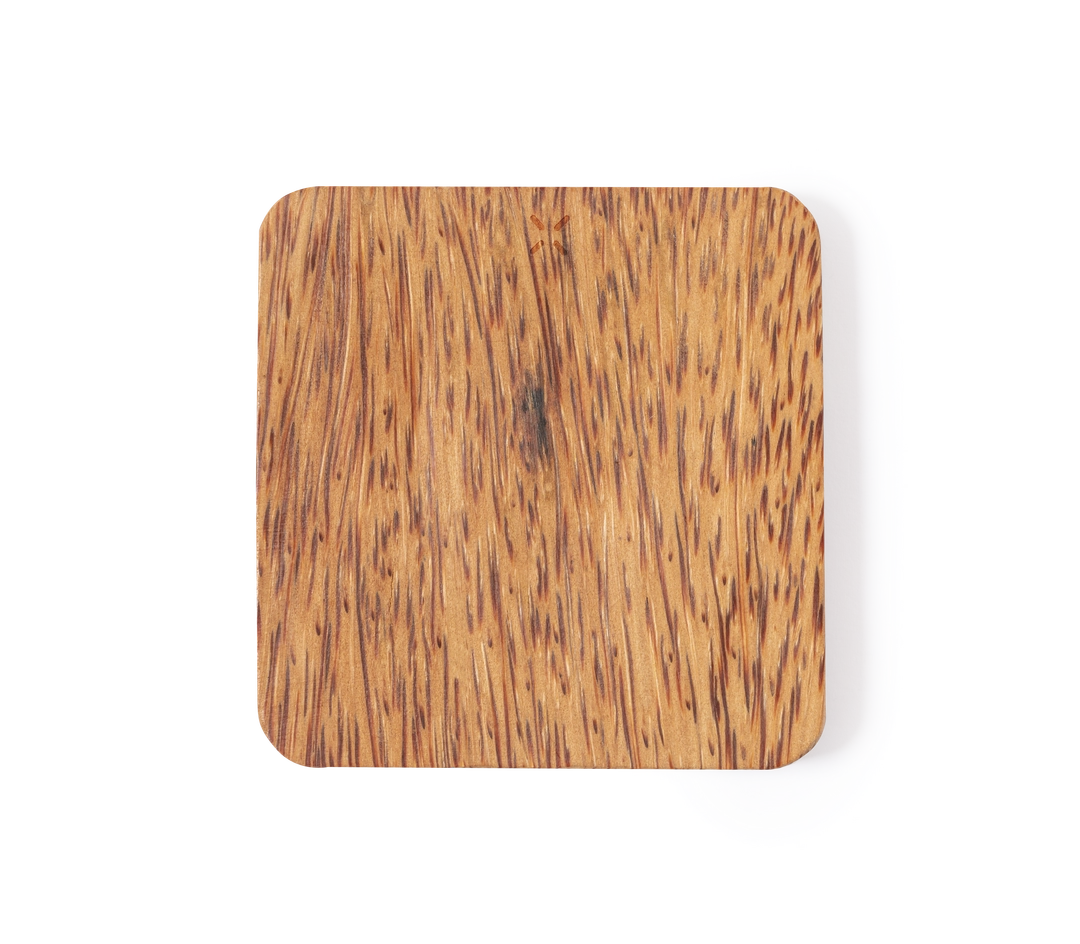 Immagine Caricatore Raston