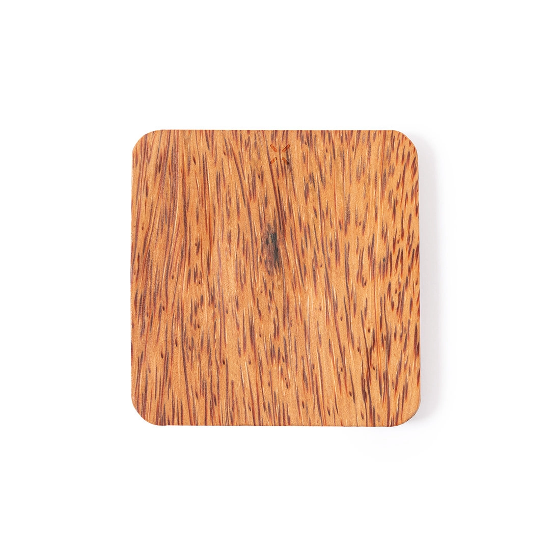 Immagine Caricatore Raston