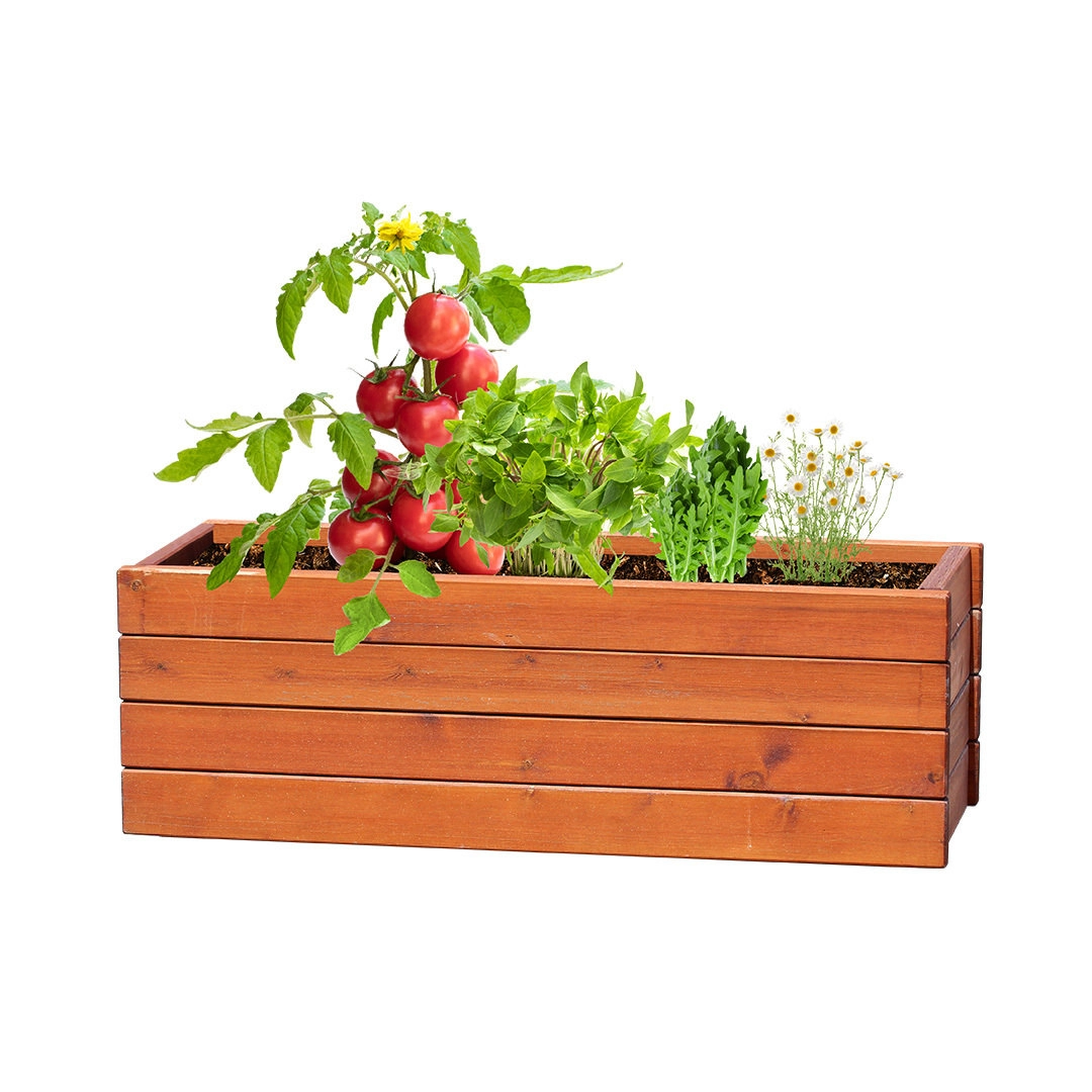 Immagine Kit Giardino Tomarux