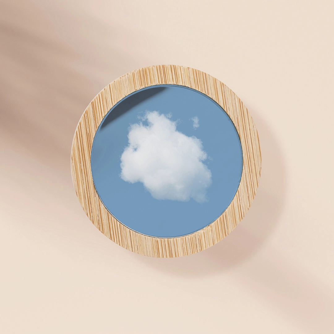 Immagine Specchio Arendel