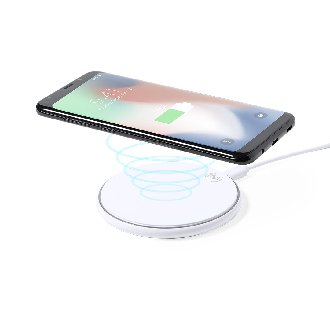 Immagine Caricatore Alanny