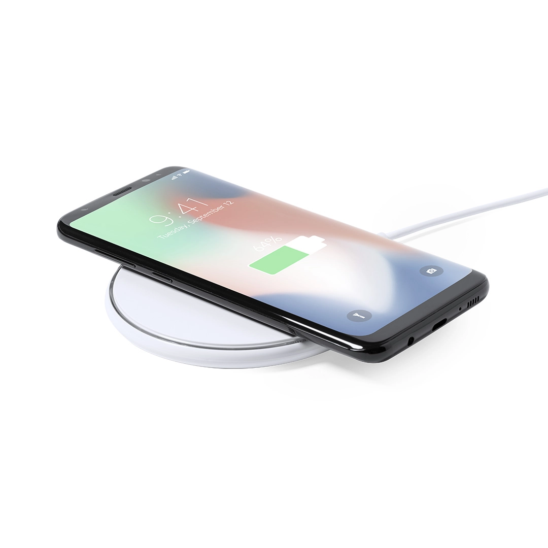 Immagine Caricatore Alanny