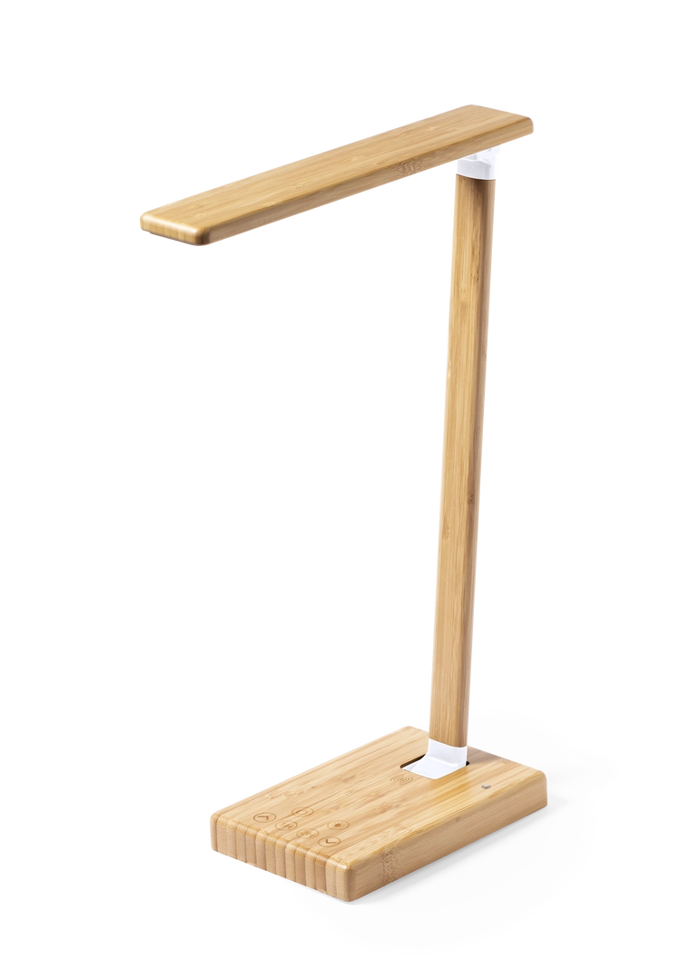 Immagine Lampada Caricatore Sleya