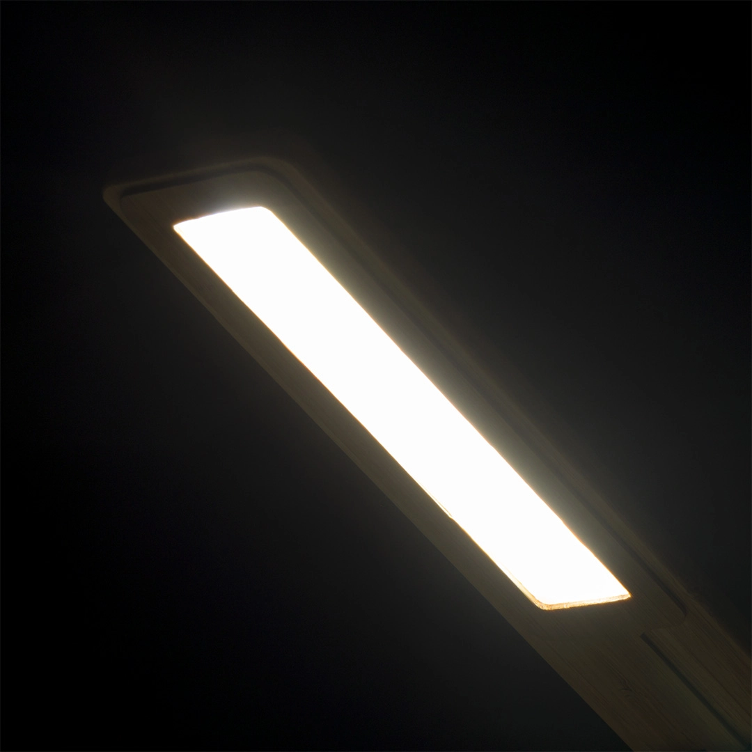 Immagine Lampada Caricatore Sleya