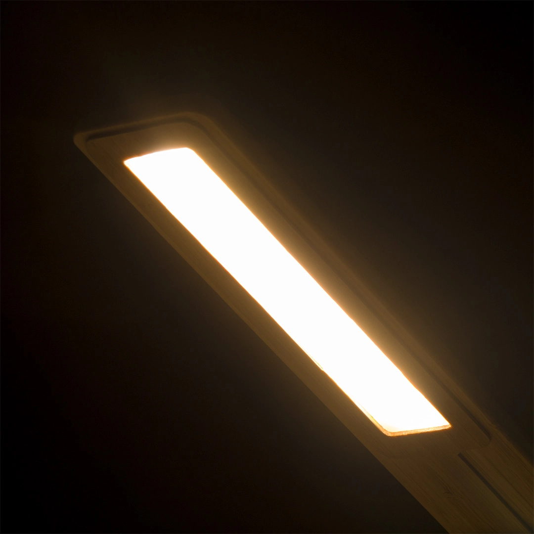 Immagine Lampada Caricatore Sleya