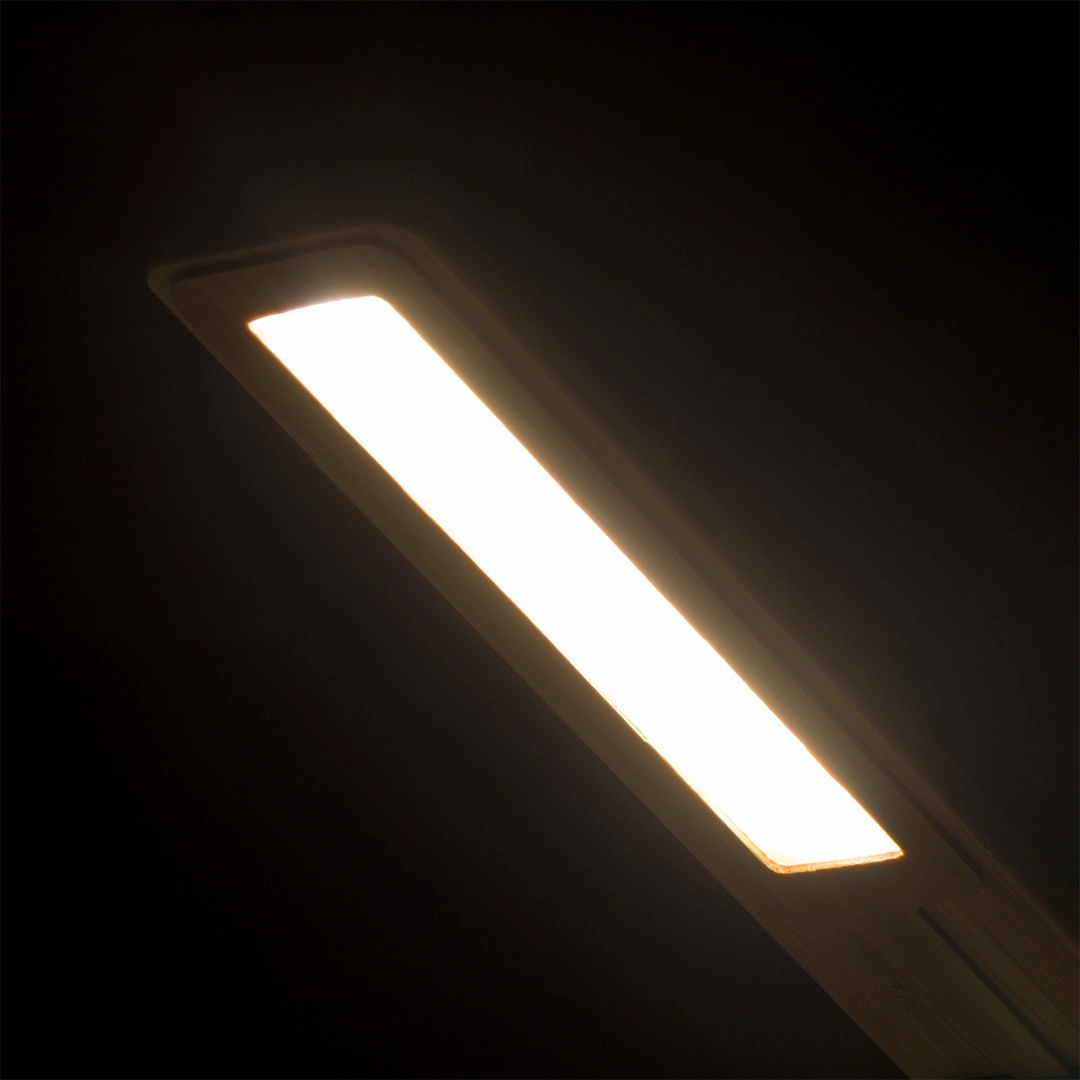 Immagine Lampada Caricatore Sleya