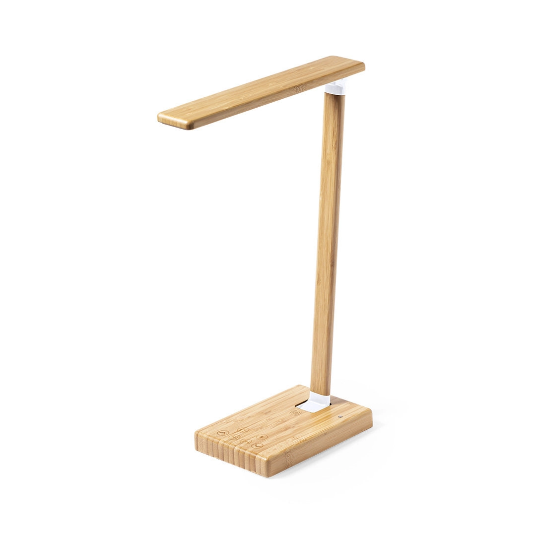 Immagine Lampada Caricatore Sleya