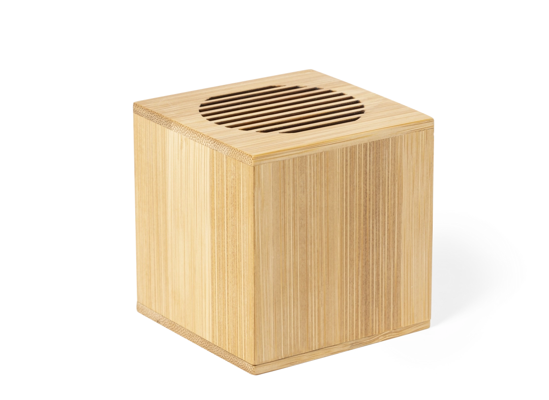 Immagine Cassa Teoden