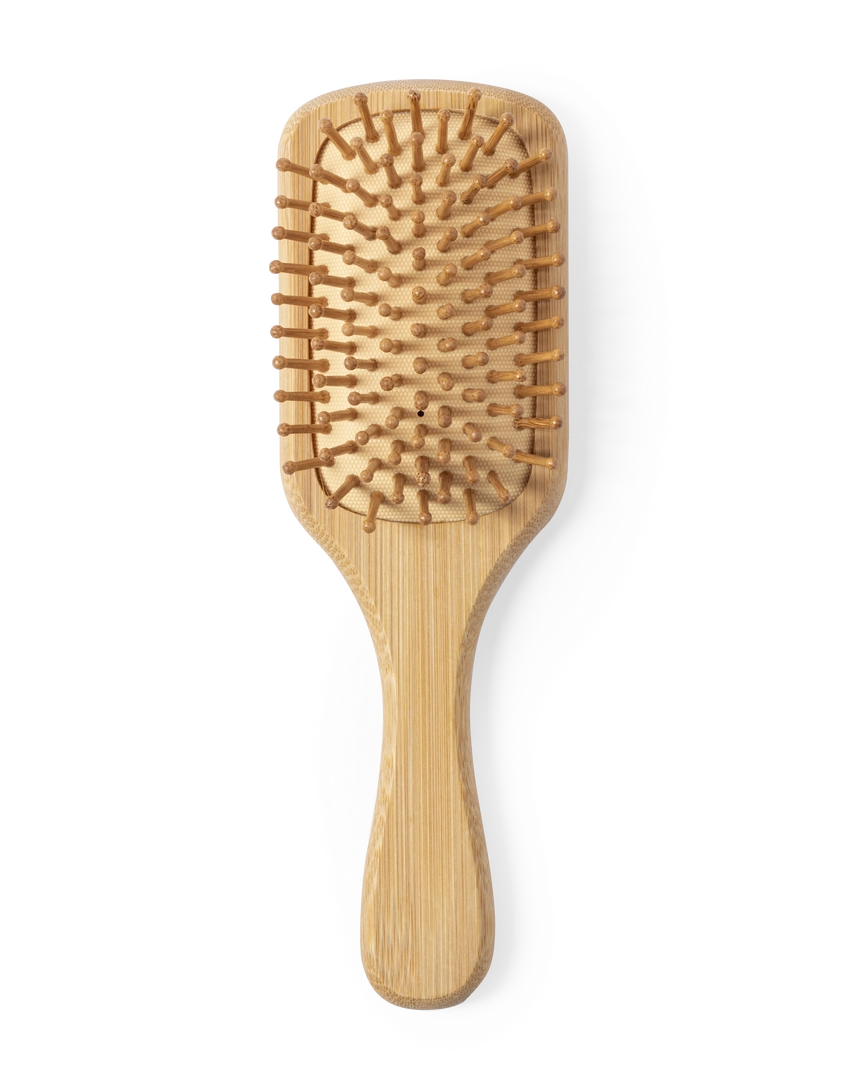 Immagine Spazzola Aveiro