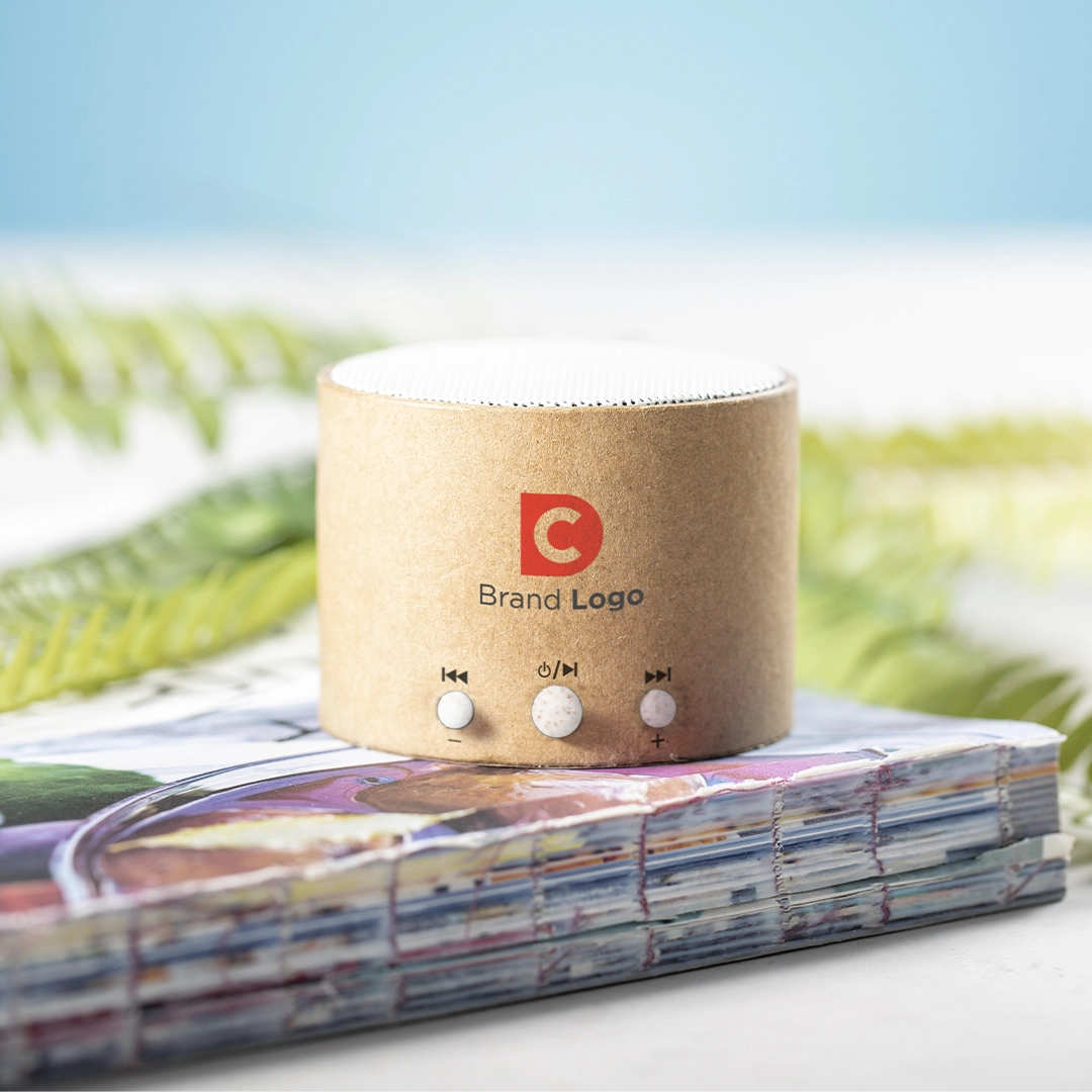 Immagine Cassa Crapin