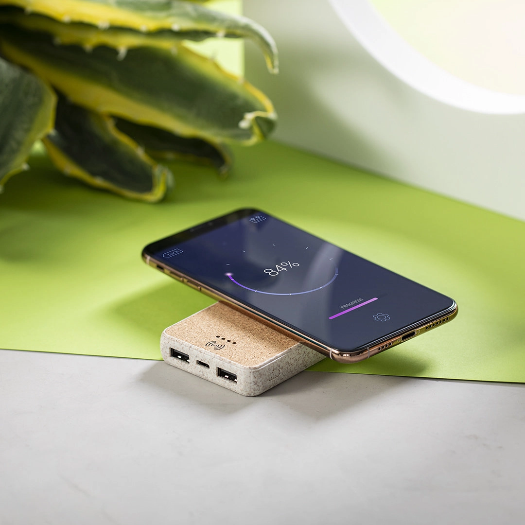 Immagine Power Bank Merak