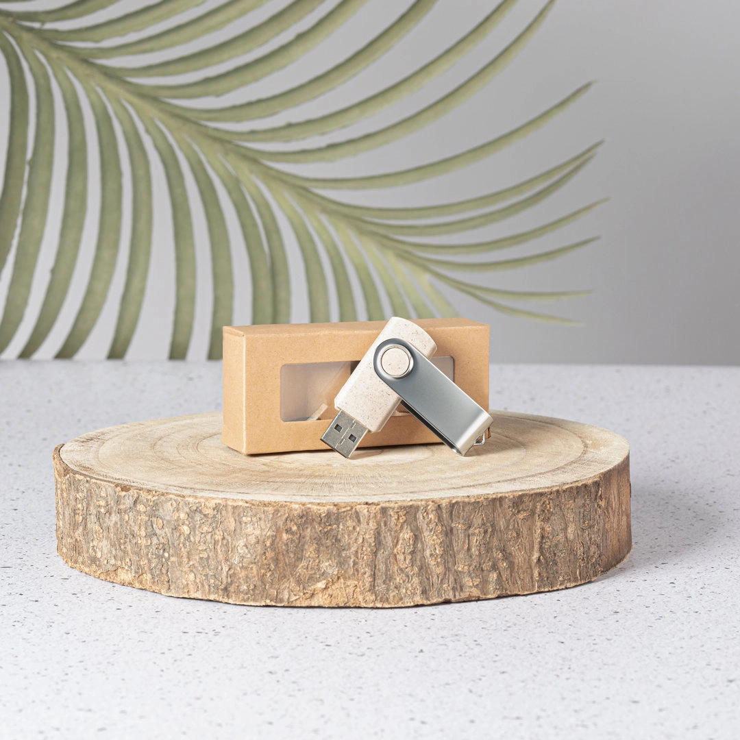 Immagine Chiavetta USB Mozil 16GB