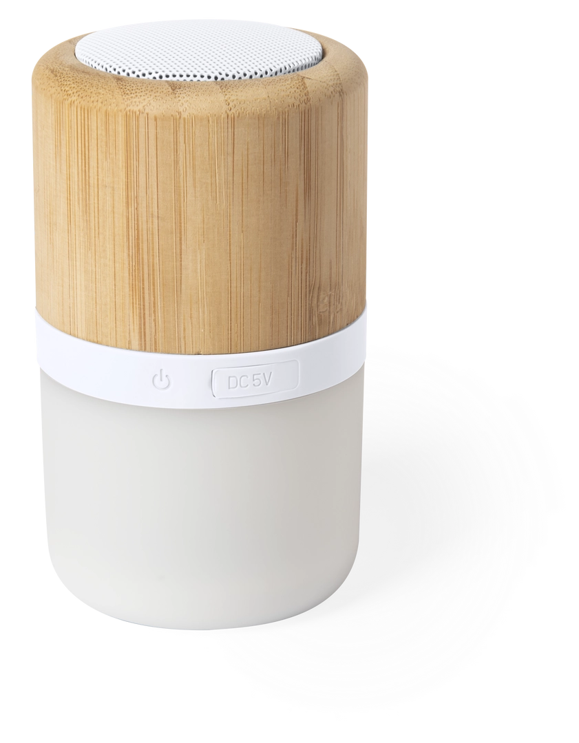 Immagine Cassa Kevil