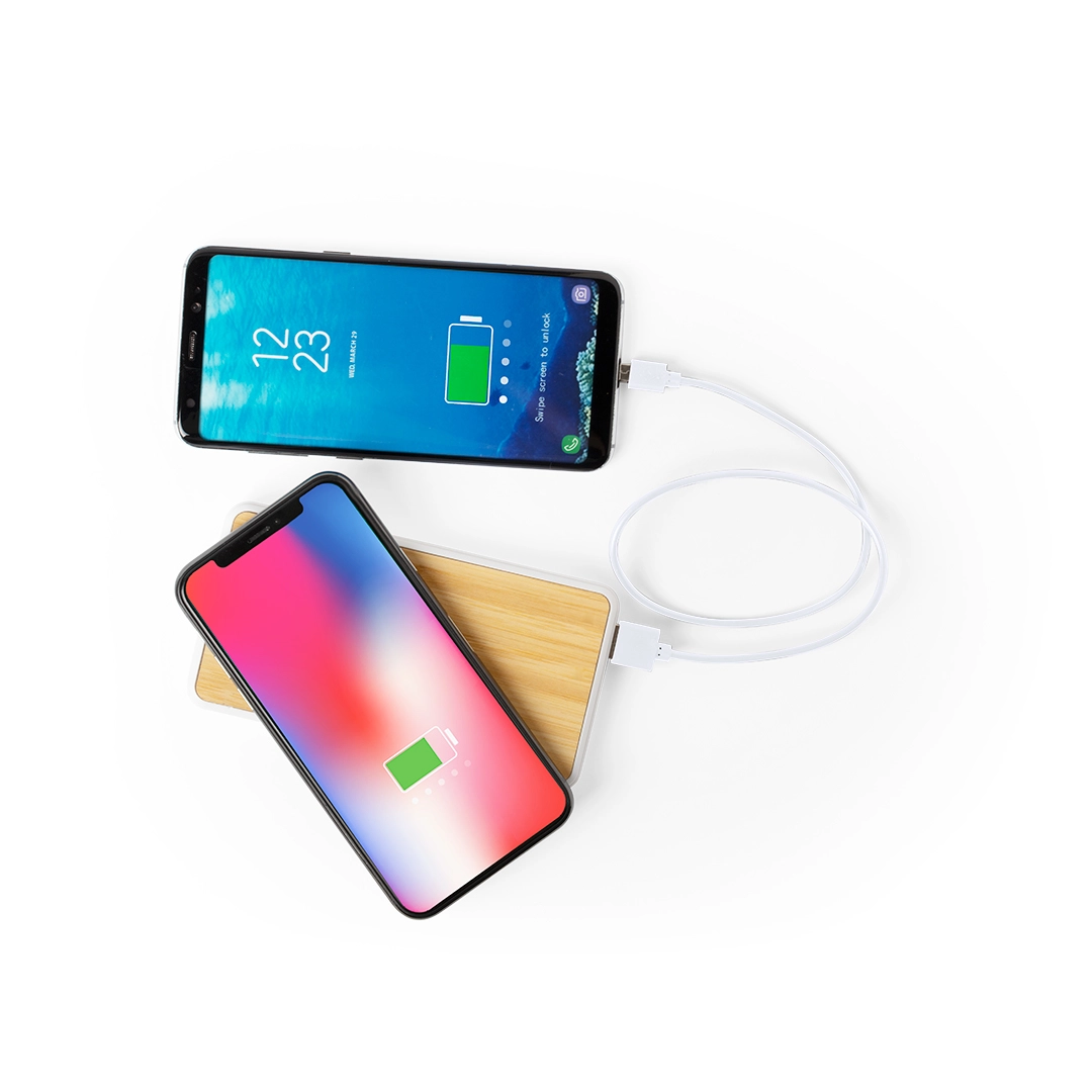 Immagine Power Bank Dickens