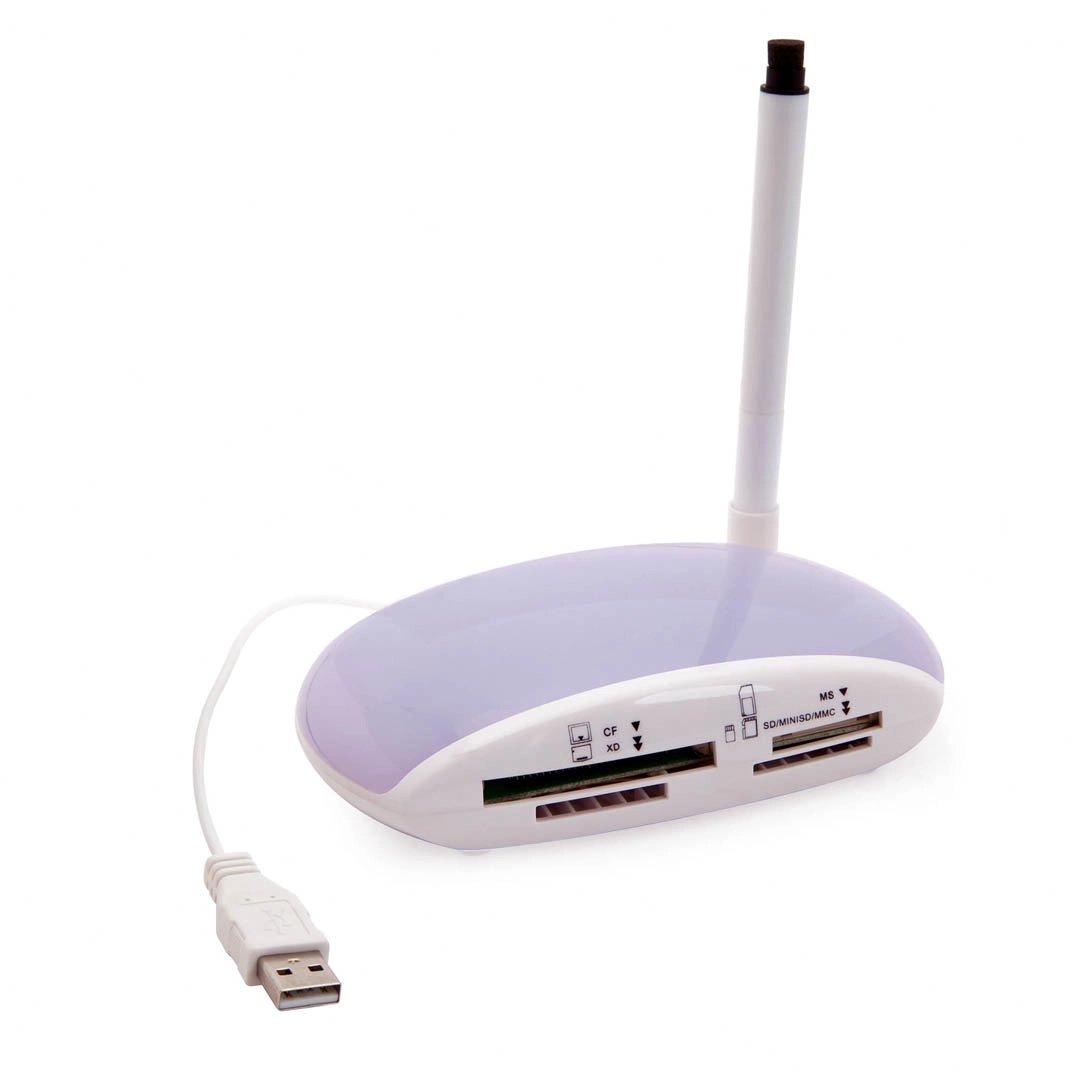 Immagine Lettore Memory Card Usak