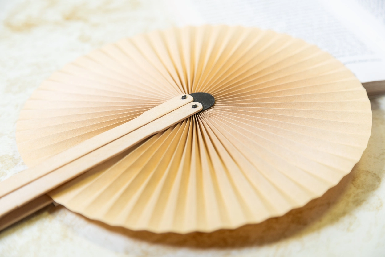 Immagine Lolli Ventaglio