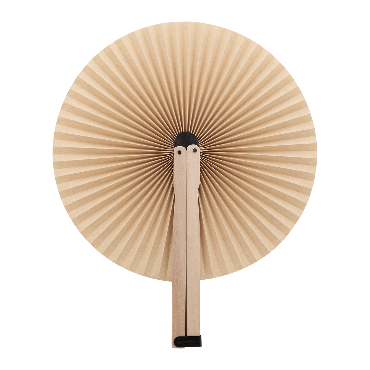 Immagine Lolli Ventaglio