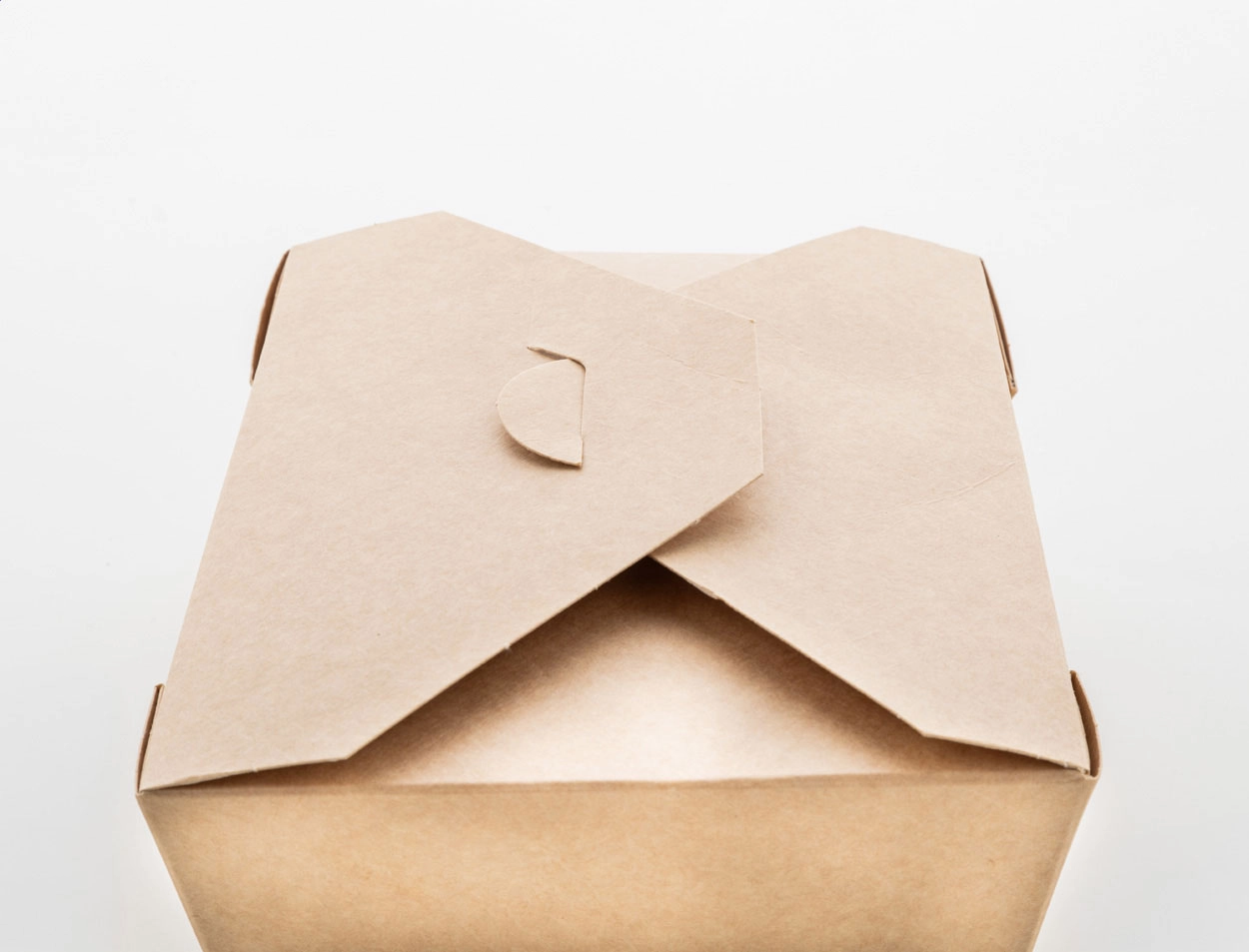 Immagine Delibox 1300 Scatola per takeaway