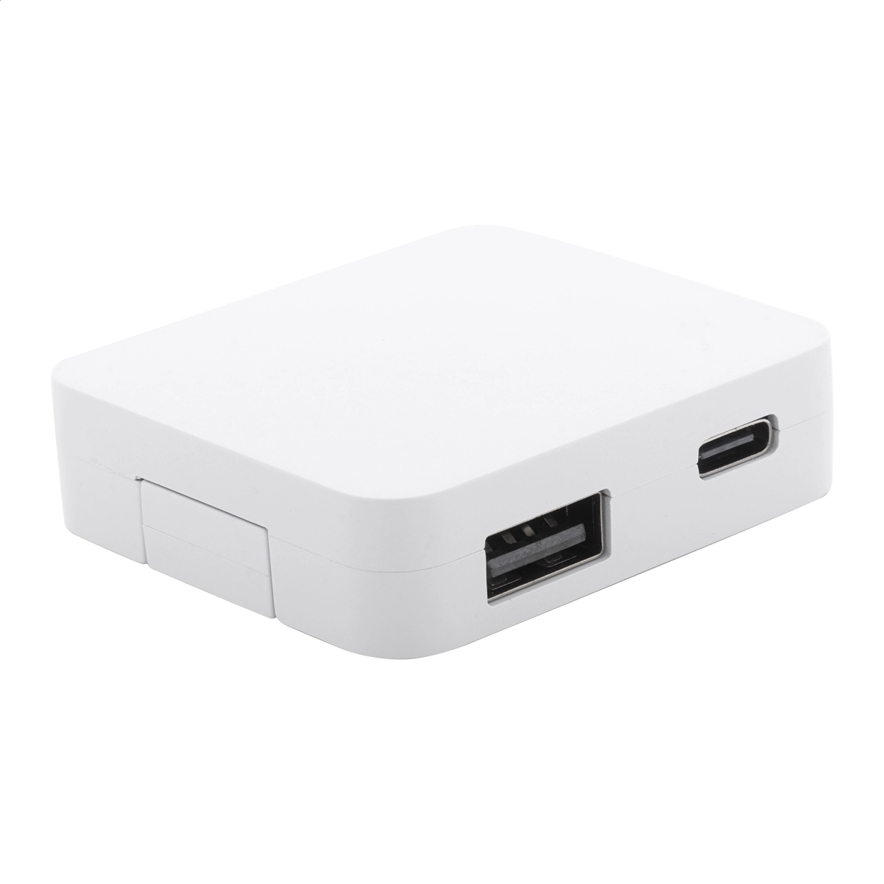 Immagine Rahubu Hub USB in RABS