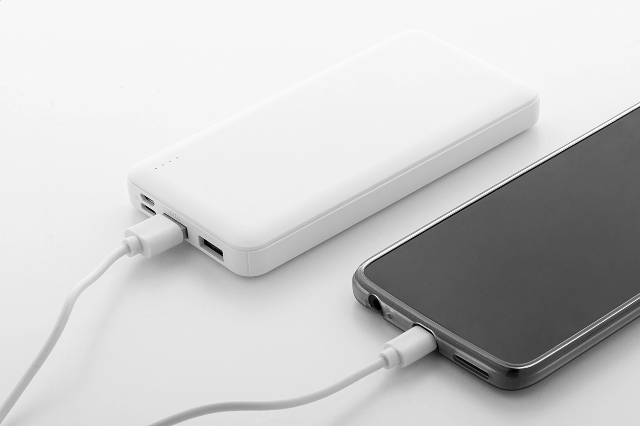 Immagine Rabobank XL Power bank in RABS