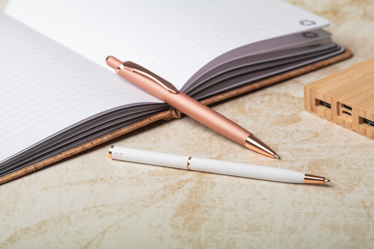 Immagine Recepto Penna a sfera