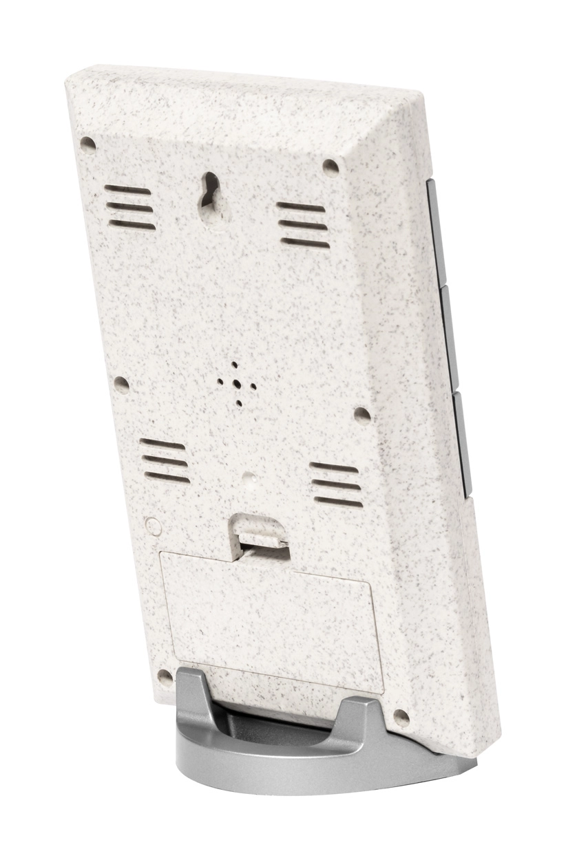 Immagine Florida stazione metereologica in bambù