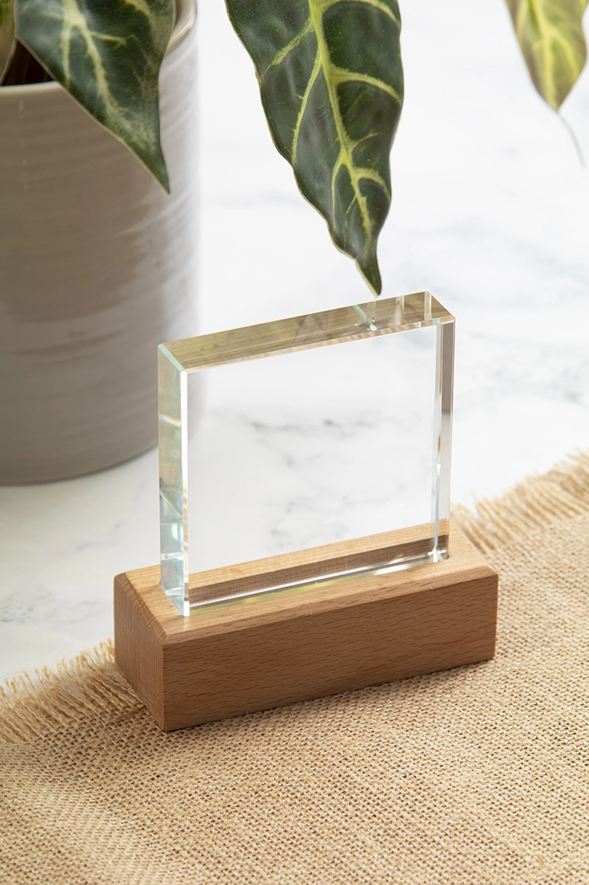 Immagine Rectofi trofeo