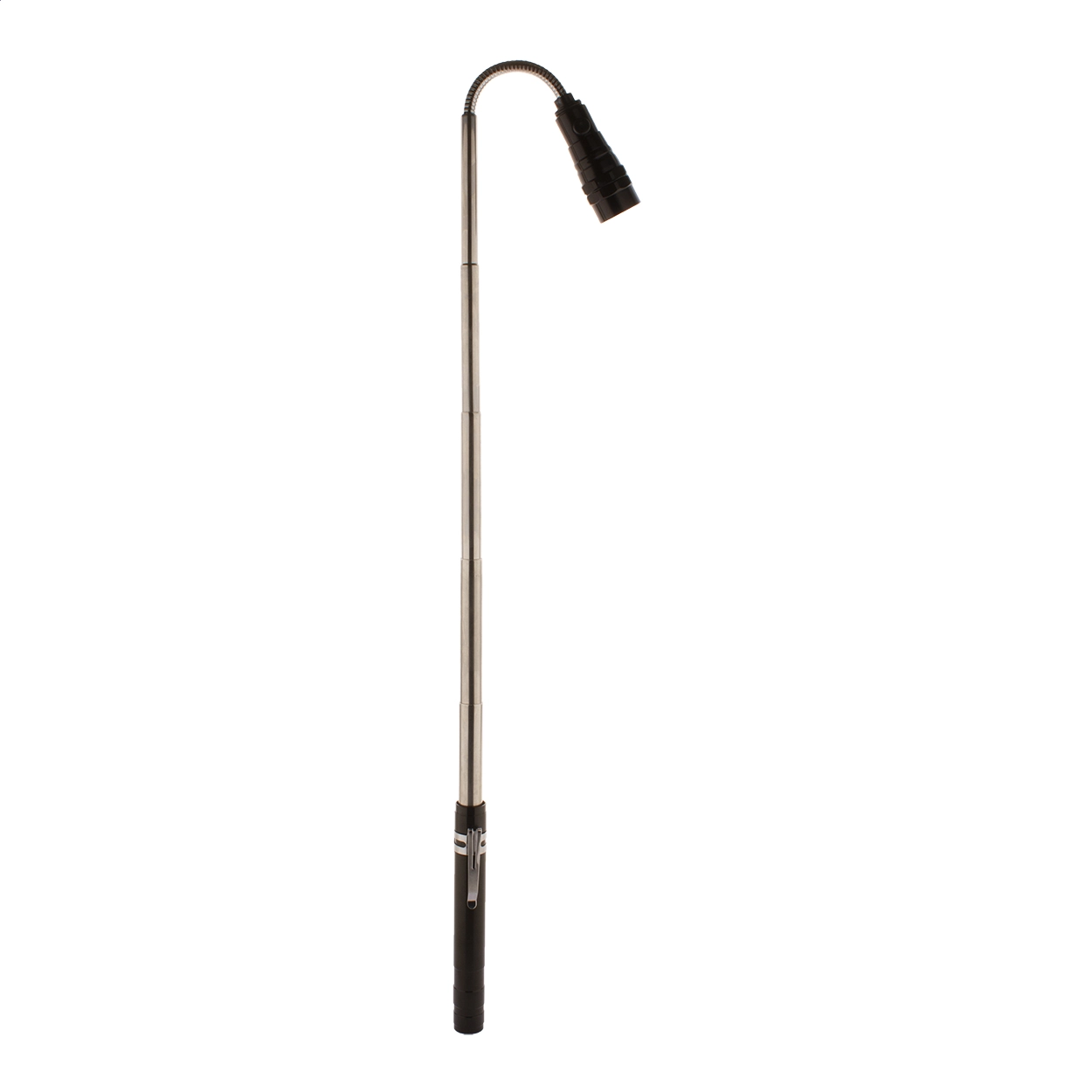 Immagine Giraffe Torcia estensibile