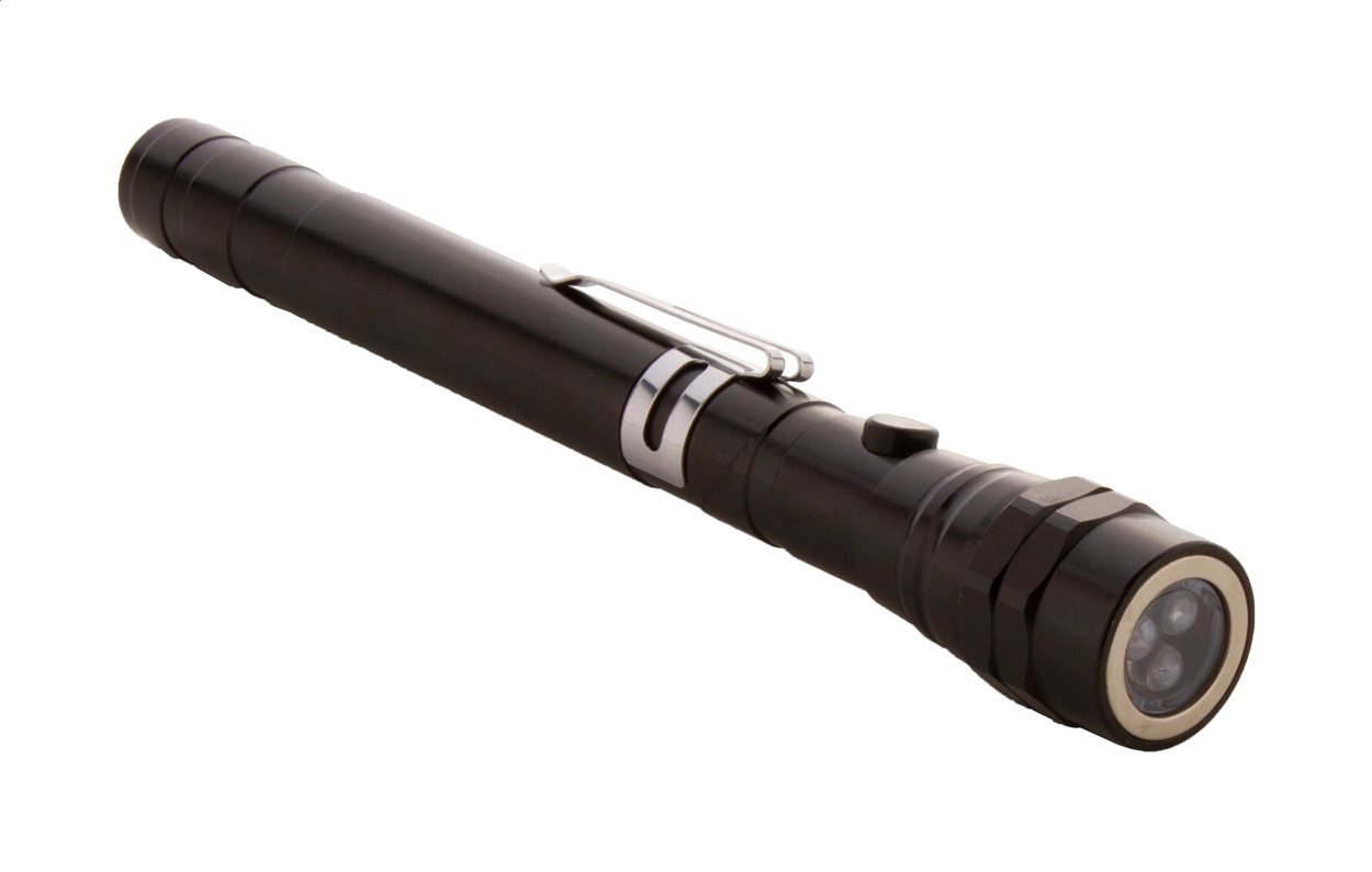 Immagine Giraffe Torcia estensibile