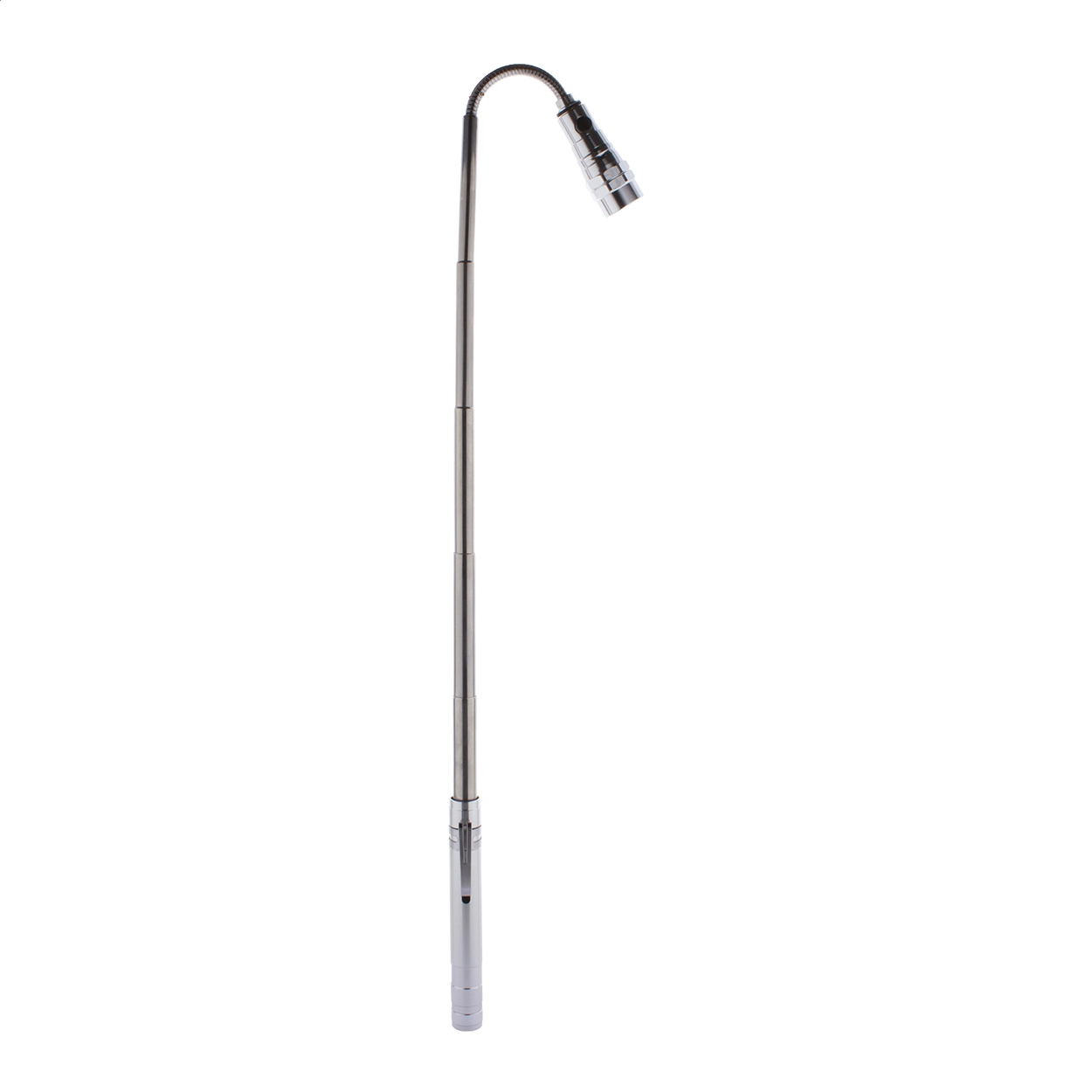 Immagine Giraffe Torcia estensibile