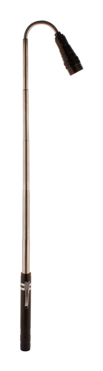 Immagine Giraffe Torcia estensibile