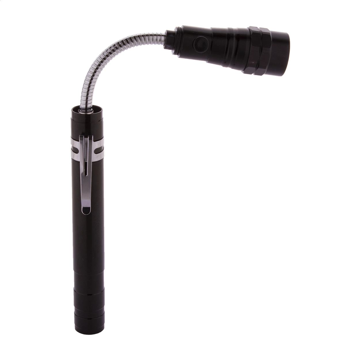 Immagine Giraffe Torcia estensibile