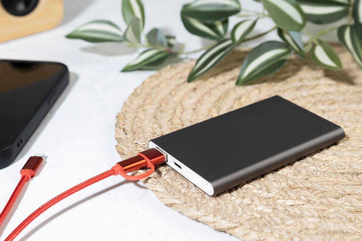 Immagine RaluFour power bank