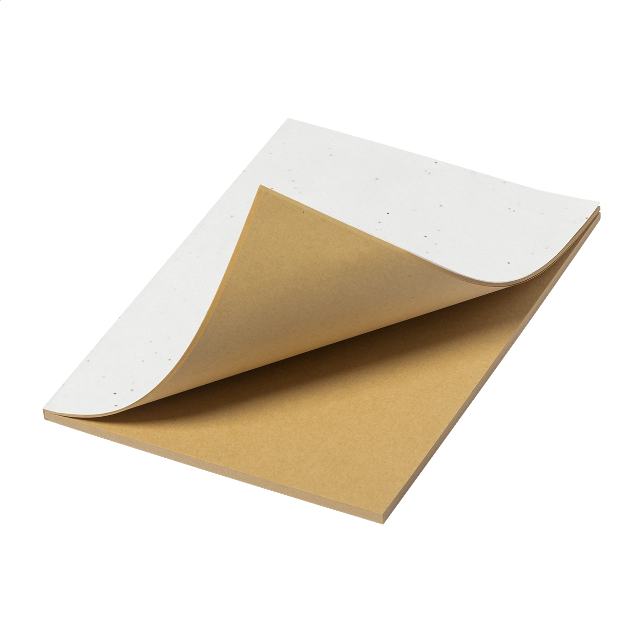 Immagine Semeno Stick quaderno in carta con semi