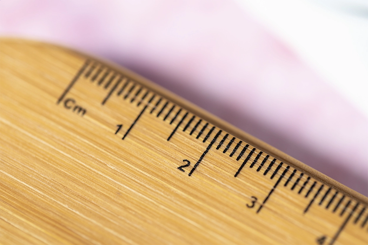 Immagine Decora portapenne in RPET