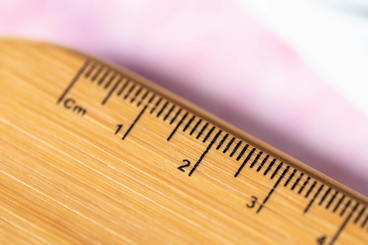 Immagine Decora portapenne in RPET