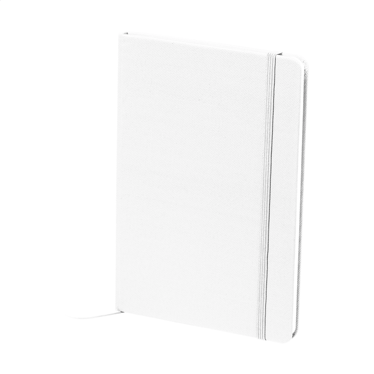 Immagine Baccata quaderno in RPET