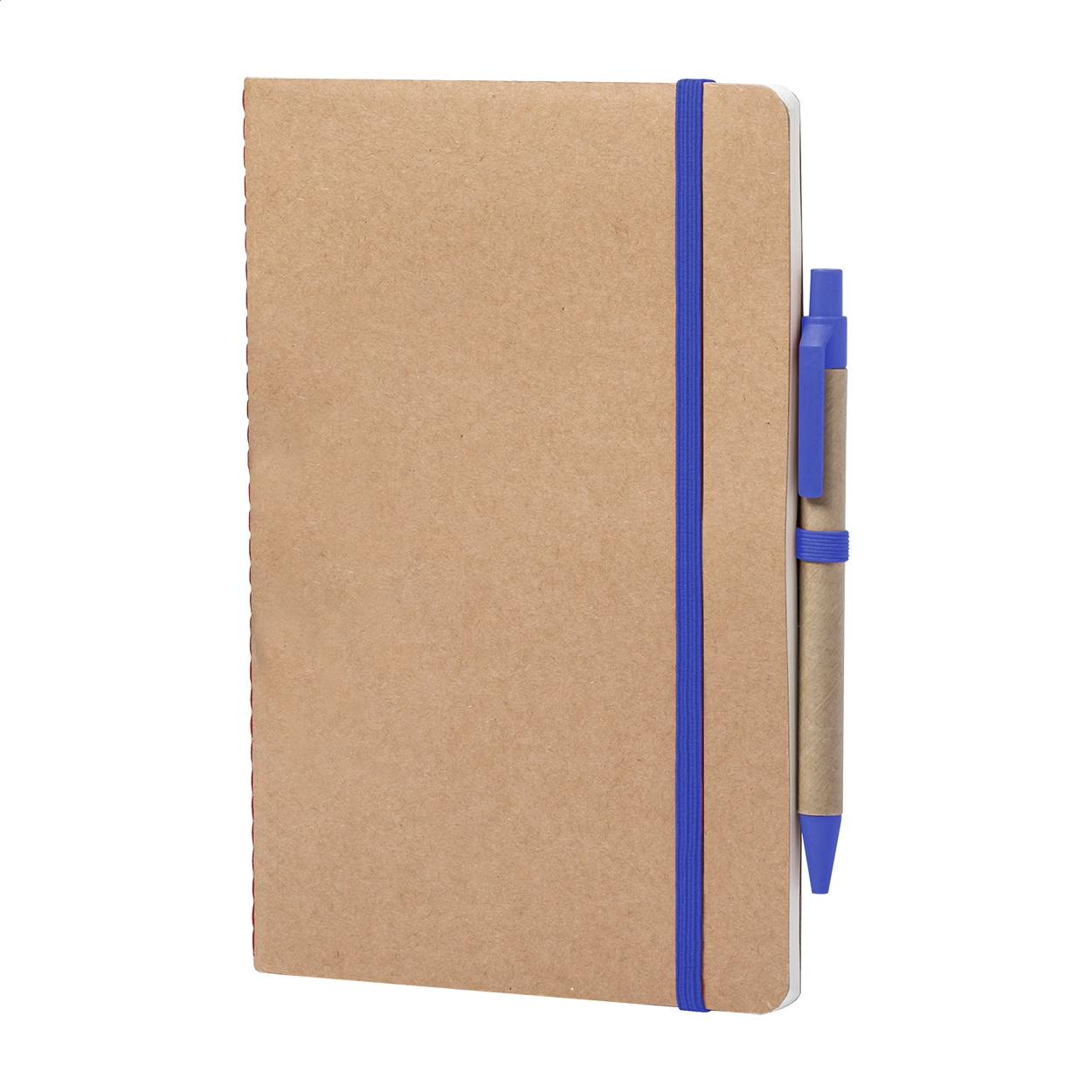 Immagine Ginkgo quaderno