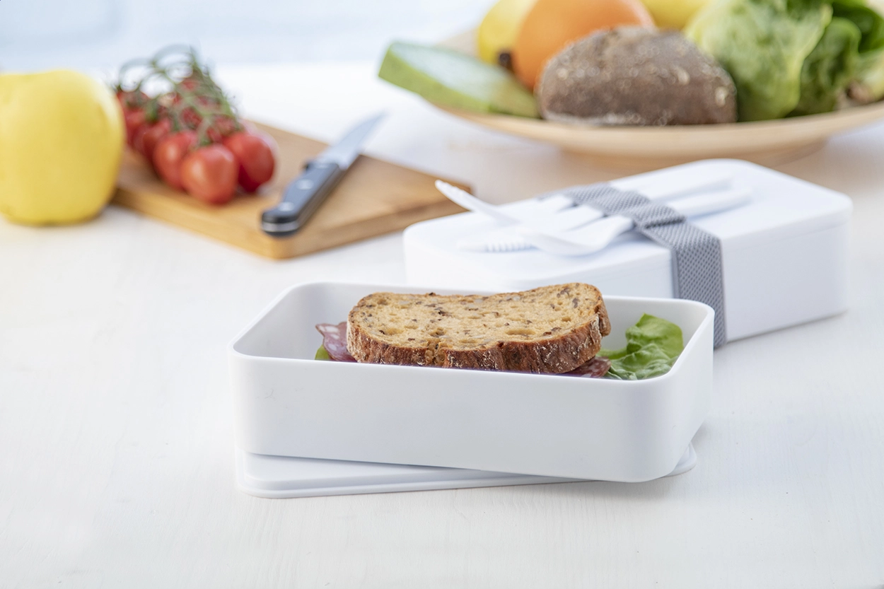 Immagine Ayam contenitore antibatterico per il pranzo