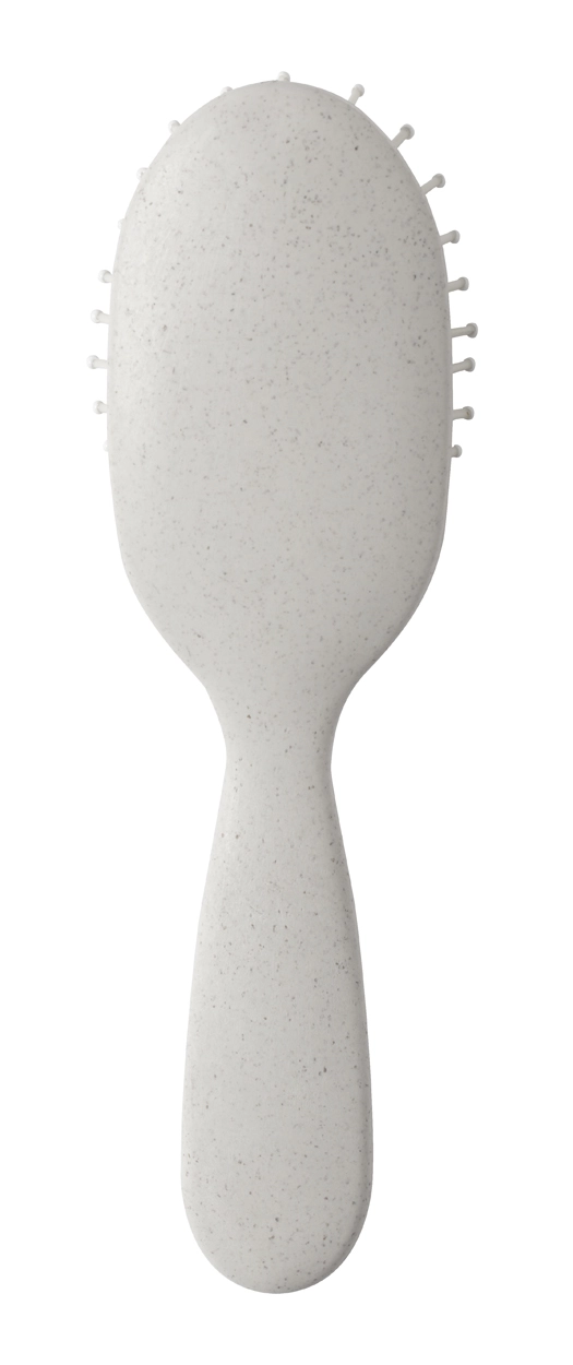 Immagine Sasson spazzola